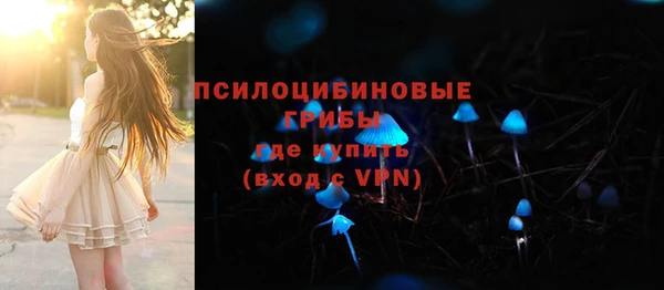 2c-b Богданович