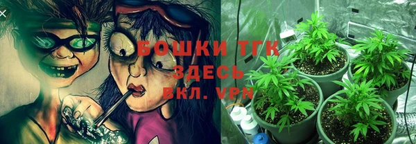 гидропоника Богородицк