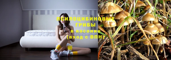 2c-b Богданович