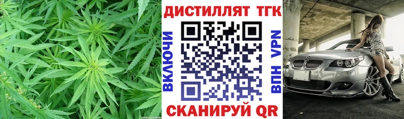 как найти закладки  Златоуст  ТГК концентрат 