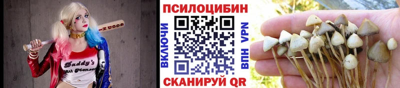 Псилоцибиновые грибы мухоморы  Златоуст 